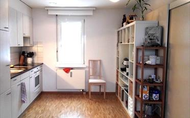 Wohnung 2.5 Zimmer - image - 5