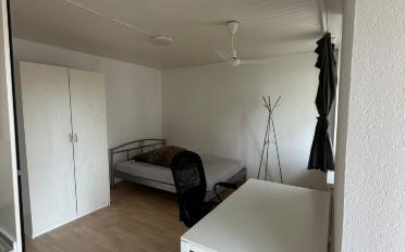 Wohnung ein Zimmer - image - 3