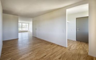 Wohnung 4.5 Zimmer - image - 2
