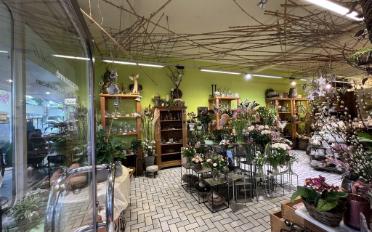 Commerce - image - 3