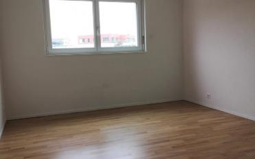 Wohnung 3.5 Zimmer - image - 5