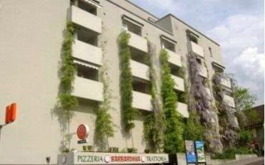 Wohnung 2.5 Zimmer - image - 1