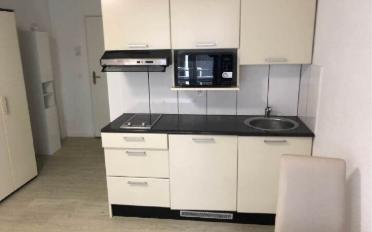 Furnished flat 1 room - image - 3