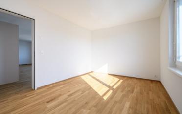 Wohnung 2.5 Zimmer - image - 3