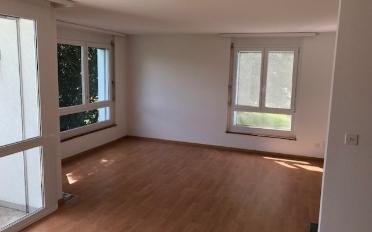 Wohnung 3.5 Zimmer - image - 5