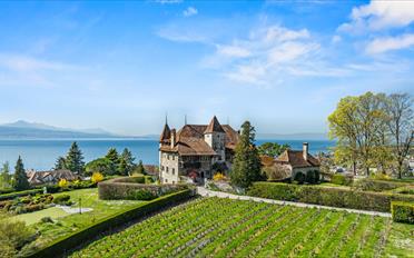 Château 12.5 pièces - image - 1