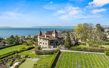 Château 12.5 pièces - image - 13