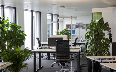 Bureau - image - 1