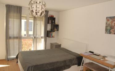 Reihenfamilienhaus 6.5 Zimmer - image - 12
