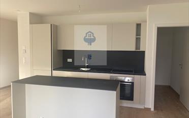 Terrace flat 2.5 rooms - image - 2