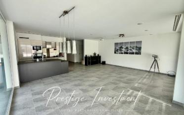 Terrace flat 5.5 rooms - image - 3