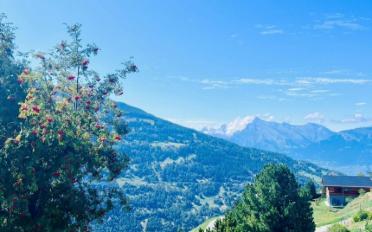 Bauland - image - 5