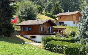 Chalet 3.5 Zimmer - image - 2