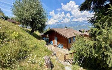 Chalet 3.5 Zimmer - image - 8