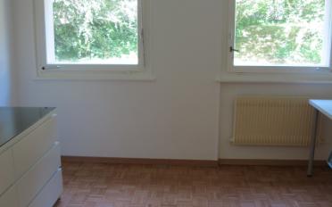 Appartement 1 pièce - image - 2