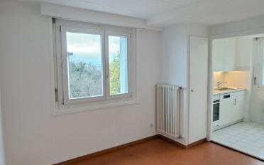 Apartment 3.5 rooms - image - 4