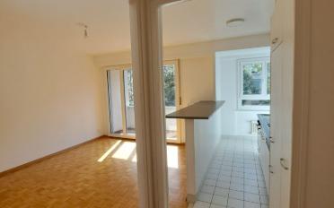 Wohnung 2.5 Zimmer - image - 1