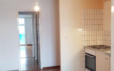 Wohnung 2.5 Zimmer - image - 1