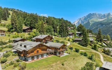 Chalet 9 rooms - image - 8