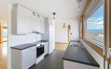 Attikawohnung 7 Zimmer - image - 2