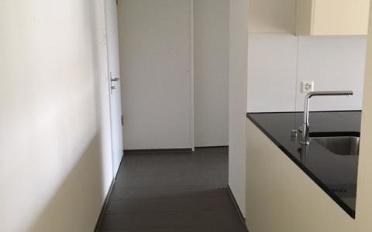 Appartement 2.5 pièces - image - 7
