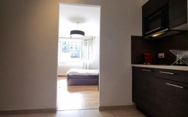 Furnished flat 1 room - image - 4