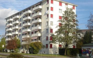 Appartement 2 pièces - image - 1