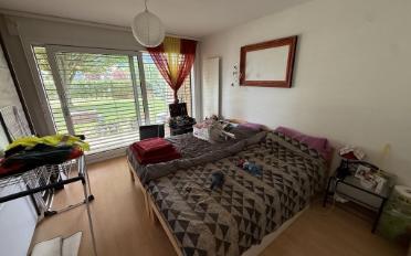 Wohnung 2.5 Zimmer - image - 5
