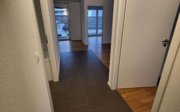 Wohnung 3.5 Zimmer - image - 3