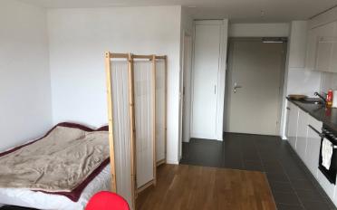 Wohnung 1.5 Zimmer - image - 3