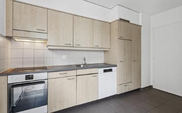 Appartement 4.5 pièces - image - 2