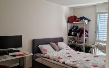 Apartment 2.5 rooms - image - 5