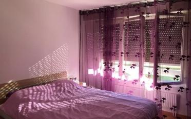 Wohnung 3 Zimmer - image - 5