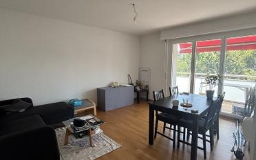 Apartment 2.5 rooms - image - 2