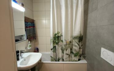 Wohnung 2.5 Zimmer - image - 6