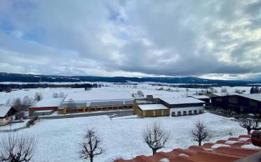 Appartement 3 pièces - image - 8