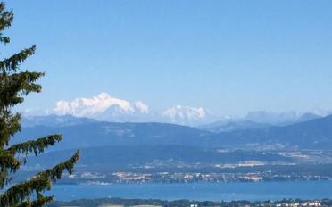 Einfamilienhaus 7.5 Zimmer - image - 1