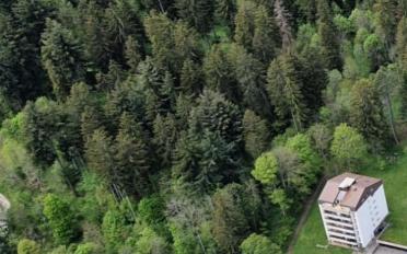 Wohnung 4.5 Zimmer - image - 2