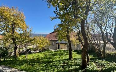 Immeuble résidentiel - image - 6