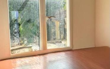 Villa 9 rooms - image - 7