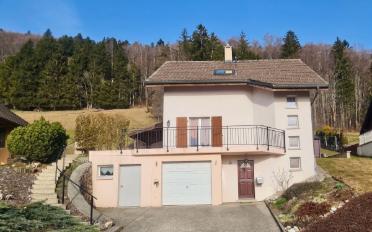 Einfamilienhaus 4.5 Zimmer - image - 1