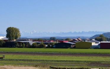 Apartment 3.5 rooms - image - 4