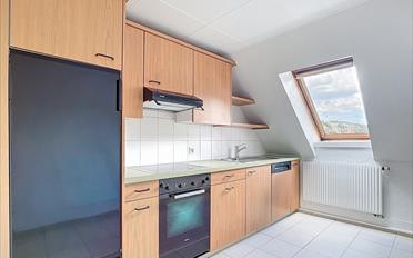 Wohnung 4 Zimmer - image - 2