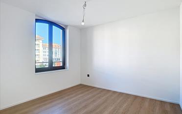 Wohnung 2.5 Zimmer - image - 5