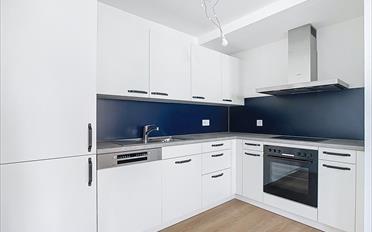 Wohnung 2.5 Zimmer - image - 1