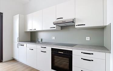 Wohnung 2.5 Zimmer - image - 4