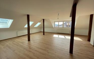 Wohnung 2.5 Zimmer - image - 4