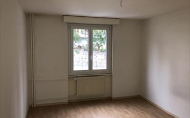 Wohnung 2.5 Zimmer - image - 4