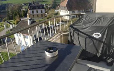 Wohnung 2 Zimmer - image - 11