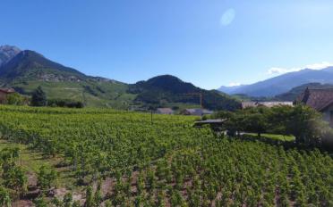 Maison jumelée 5.5 pièces - image - 8